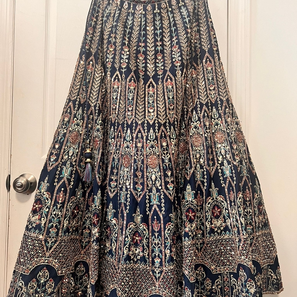 Desi Dress/ Gown/ Lehenga - Picture 4 of 9